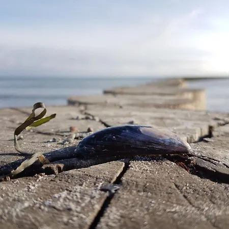 Sonnendeck 34 - Lejlighed *