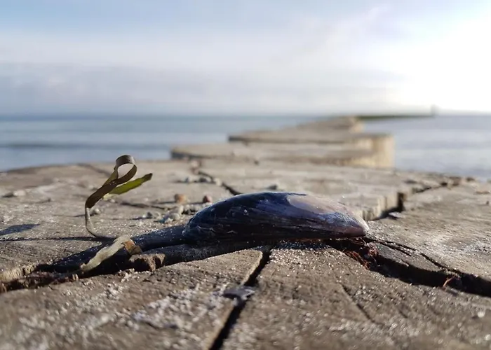 Sonnendeck 34 - A69867 Apartment *